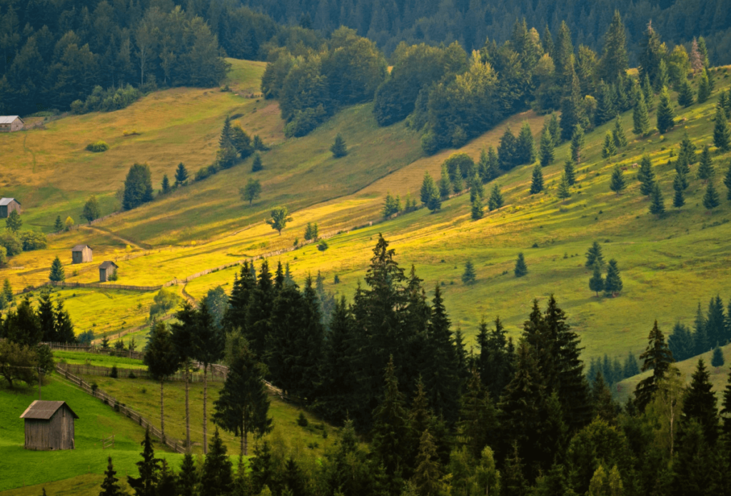 fondo turismo sostenibile